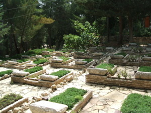 Elevated grass covered graves 